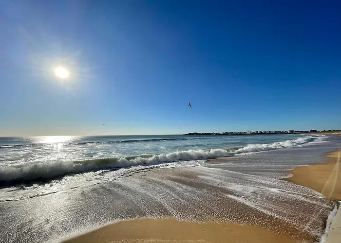 Petit Paradis De La Soudiniere