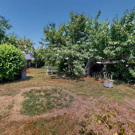 Petit Paradis De La Soudiniere * Saint Gilles Croix de vie