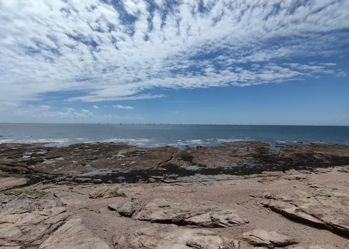 Petit Paradis De La Soudiniere Apartamento